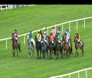 Video preview image for Listowel 16:55 - Kevin McManus Beginners Chase