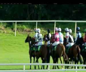 Video preview image for Listowel 17:20 - Kerry Group I.N.H. Flat