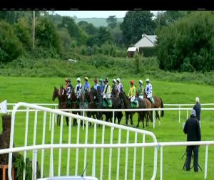 Video preview image for Listowel 17:30 - M.S.D Animal Health Maiden Hurdle