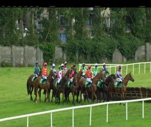 Video preview image for Listowel 18:00 - Devon Inn Hotel Handicap Hurdle