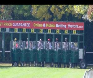 Video preview image for Navan 13:35 - Irish Stallion Farms European Breeders Fund Maiden