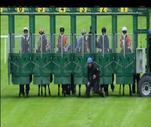 Video preview image for Navan 15:05 - Troytown Bar Handicap