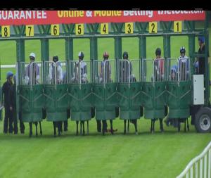 Video preview image for Navan 15:40 - Irish Stallion Farms European Breeders Fund Premier Nursery Handicap