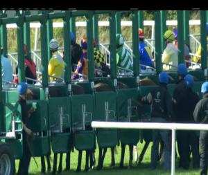 Video preview image for Navan 15:55 - Irish Stallion Farms European Breeders Fund Fillies Maiden