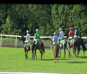 Video preview image for Navan 16:15 - Emerald Facility Services Beginners Chase