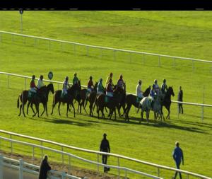 Video preview image for Navan 17:45 - Corinthian Challenge Charity Race
