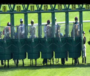 Video preview image for Roscommon 18:10 - Irish European Breeders Fund Supporting Irish Champions Weekend Fillies Maiden