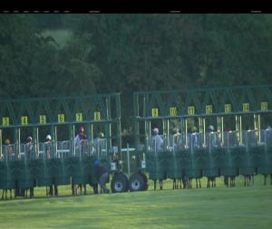 Video preview image for Roscommon 19:40 - Roscommon Racecourse Handicap