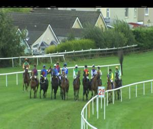 Video preview image for Wexford 14:50 - Menapia Motors Renault Opportunity Handicap Hurdle (Div 2)