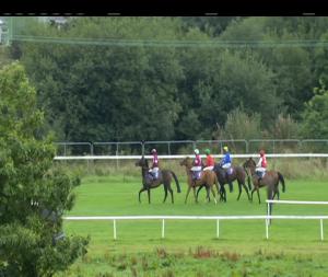Video preview image for Wexford 16:00 - Audrey McGrath Memorial Novice Chase