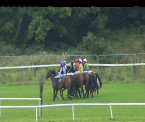 Video preview image for Wexford 16:35 - Irish Stallion Farms European Breeders Fund Opportunity Handicap Chase