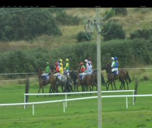 Video preview image for Wexford 17:10 - Dan Byrne Memorial Handicap Chase