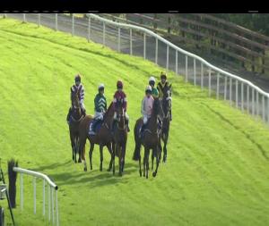 Video preview image for Ballinrobe 16:55 - Eamon Sheridan Groudworks Chase