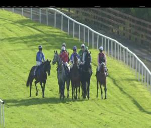 Video preview image for Ballinrobe 17:25 - Adare Manor Opportunity Handicap Chase