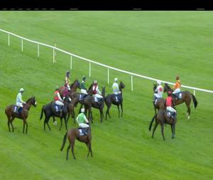 Video preview image for Clonmel 16:45 - Tickincor Handicap Chase