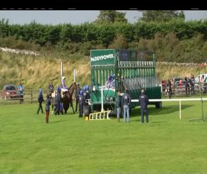 Video preview image for Curragh 15:40 - Moyglare Stud Stakes (Group 1)