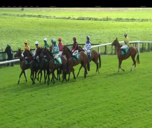 Video preview image for Downpatrick 14:50 - White Horse Maiden Hurdle