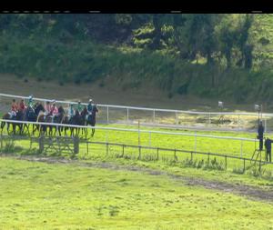 Video preview image for Downpatrick 16:25 - Molson Coors Handicap Chase
