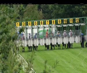 Video preview image for Down Royal 16:05 - Irish Stallion Farms European Breeders Fund Maiden