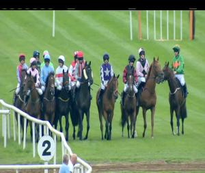 Video preview image for Down Royal 16:35 - Molson Coors N.I. 3-y-o Maiden Hurdle