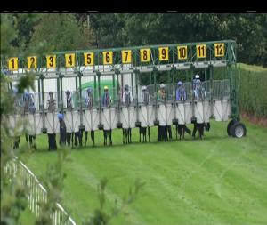 Video preview image for Down Royal 16:40 - Irish Stallion Farms European Breeders Fund Maiden