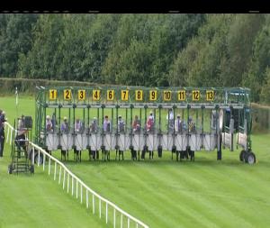 Video preview image for Down Royal 17:15 - Foran Equine Irish European Breeders Fund Auction Maiden