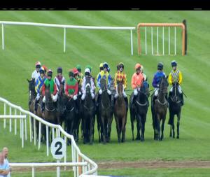 Video preview image for Down Royal 17:40 - Linden Foods Handicap Hurdle 