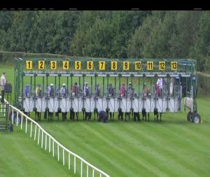 Video preview image for Down Royal 17:45 - West Coast Cooler Rose Nursery Handicap