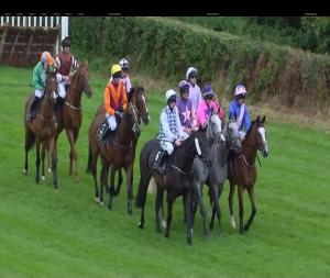 Video preview image for Down Royal 18:10 - Tayto Group Ltd. Maiden Hurdle