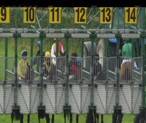 Video preview image for Down Royal 18:15 - Weatherbys Handicap 