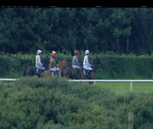 Video preview image for Down Royal 18:40 - Kerry Foods Hurdle 