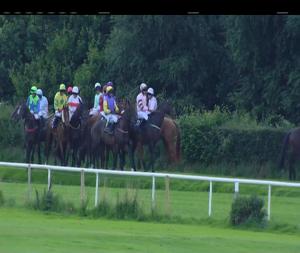 Video preview image for Down Royal 19:10 - Hovis Handicap Hurdle