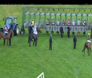 Video preview image for Down Royal 19:15 - West Coast Cooler Fashion Week Ulster Cesarewitch Handicap