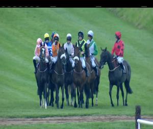 Video preview image for Down Royal 19:40 - Dale Farm Dromona Mares I.N.H. Flat