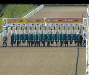 Video preview image for Dundalk 19:30 - Irish Stallion Farms European Breeders Fund Median Auction Maiden