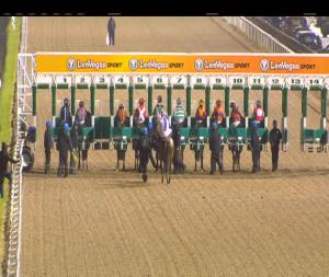 Video preview image for Dundalk 20:30 - Dundalk Stadium - Light Up Your Night Handicap