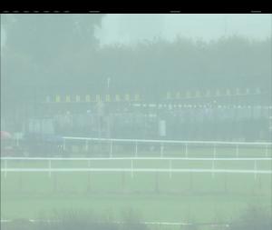Video preview image for Fairyhouse 14:25 - Irish Stallion Farms European Breeders Fund Maiden