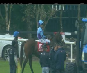 Video preview image for Galway 15:30 - James P. Cunningham Electrical Handicap
