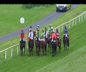 Video preview image for Gowran Park 14:15 - Thomastown Handicap Hurdle