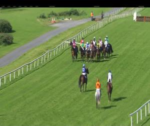 Video preview image for Gowran Park 14:50 - Racing Again Tomorrow Maiden Hurdle