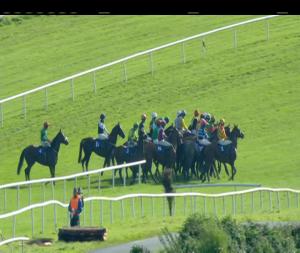 Video preview image for Gowran Park 15:25 - Bramblestown Handicap Hurdle 