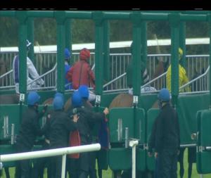 Video preview image for Gowran Park 15:45 - Jumps Racing Returns To Gowran Park September 29th Handicap