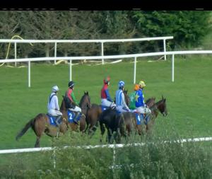 Video preview image for Gowran Park 16:00 - Pat Walsh Memorial Irish European Breeders Fund Mares Hurdle (Listed)