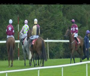 Video preview image for Gowran Park 16:00 - Pwc Champion Chase (Grade 2)