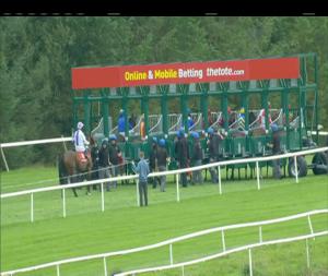 Video preview image for Gowran Park 16:35 - Gowran Park Fillies Claiming 