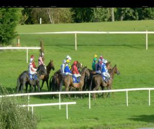 Video preview image for Gowran Park 16:35 - Bennettesbridge Handicap Hurdle 