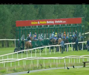 Video preview image for Gowran Park 17:05 - Irish Stallion Farms European Breeders Fund (C & G) Maiden