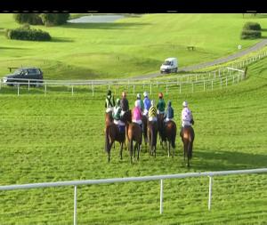 Video preview image for Gowran Park 17:40 - Irish Stallion Farms European Breeders Fund Mucklemeg Mares I.N.H. Flat (Listed)