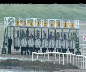 Video preview image for Laytown 19:35 - Hibernia Steel (Q.R.) 