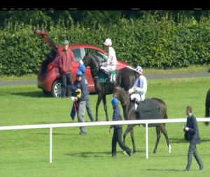 Video preview image for Leopardstown 15:25 - Ballylinch Stud Irish European Breeders Fund Fillies Maiden